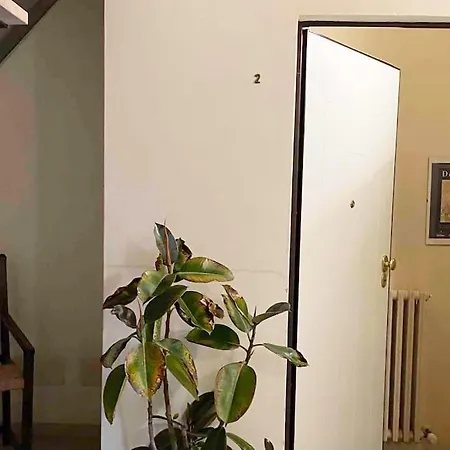 Magnifico In Palazzo Storico Del 500” Apartment